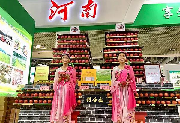 普朗展臺設計首次在中部地區舉辦！第二十屆綠博會11月29日亮相鄭州